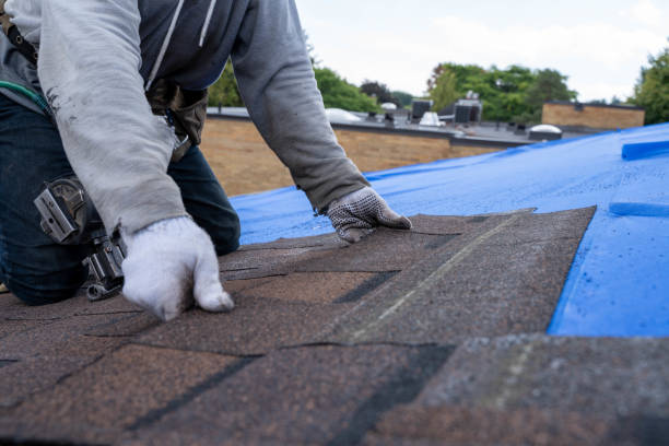 Professional Roofing Contractor in Manteno, IL