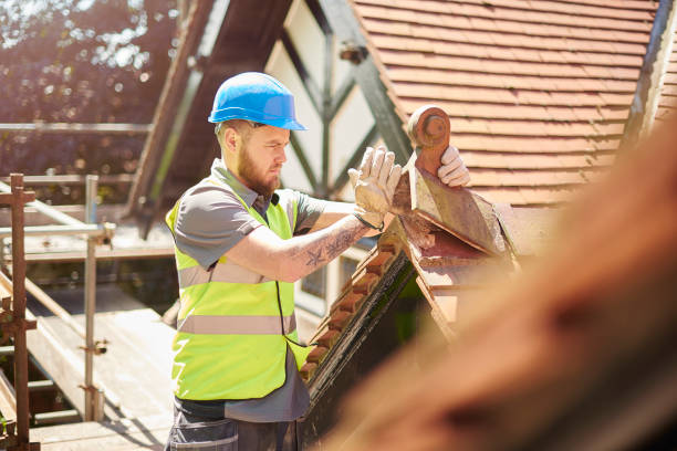 Best Gutter Installation and Roofing  in Manteno, IL